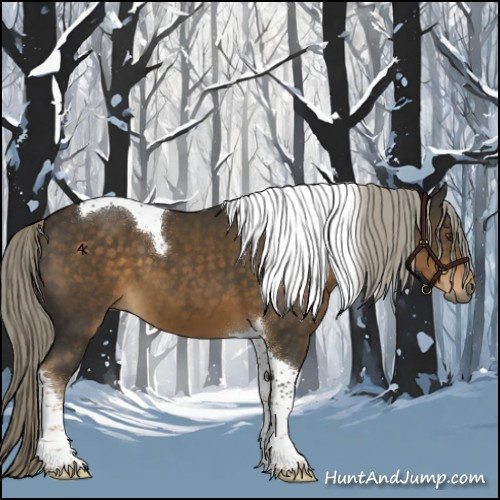 Horse Color:Chocolate Palomino Tobiano 