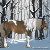 Horse Color:Chocolate Palomino Tobiano 