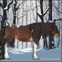 Horse Color:Liver Chestnut Tobiano 