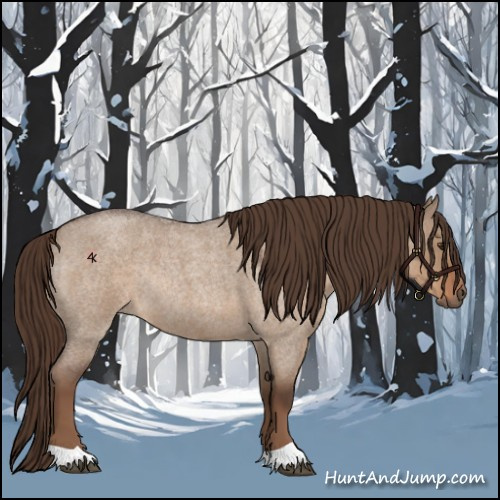Horse Color:Liver Red Dun Roan Rabicano
