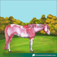 Horse Color:Watercolor Liver Red Onyx Sabino Tobiano
