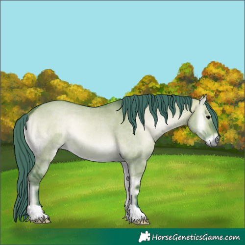 Horse Color:Watercolor Brown Onyx 