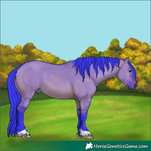 Horse Color:Watercolor Brown Dun 