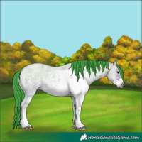 Horse Color:Watercolor Bay Roan Onyx Sabino Frame 