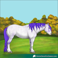 Horse Color:Watercolor Bay Roan Onyx Sabino