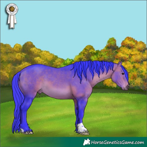 Horse Color:Watercolor Bay 