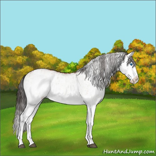 Horse Color:White Spotted Bay Splash and White Spotted Bay Splash