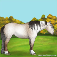 Horse Color:Gray Amber Champagne Dun Tobiano 