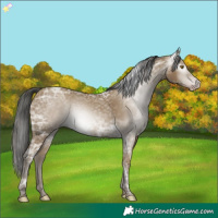 Horse Color:Gray Classic Cream Champagne Ice 