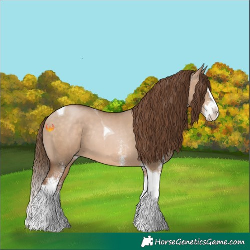 Horse Color:White Spotted Brown Pearl Dun Splash Tobiano Rabicano 