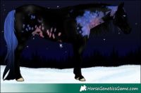 Horse Color:Void Watercolor Brown Splash Tobiano Appaloosa 