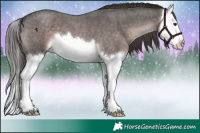 Horse Color:Platinum Liver Red Roan Splash 