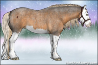 Horse Color:Chocolate Palomino Roan Splash 