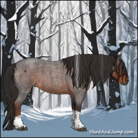 Horse Color:Gray Liver Red Roan Tobiano 