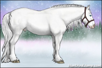 Horse Color:Platinum Cremello Roan Dun
