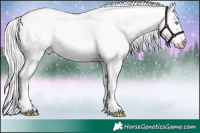 Horse Color:Platinum Cremello Roan Dun 