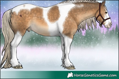 Horse Color:White Spotted Chocolate Palomino Tobiano 