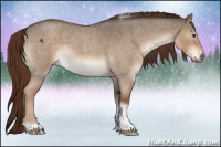 Horse Color:Liver Red Dun Roan Tobiano