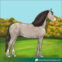 Horse Color:Classic Champagne Ice 
