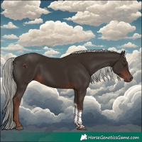 Horse Color:Liver Chestnut Mushroom Tobiano 