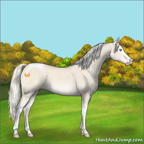 Horse Color:White Spotted Cremello Tobiano 