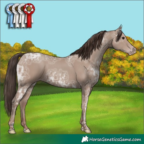 Horse Color:Classic Champagne Ice 