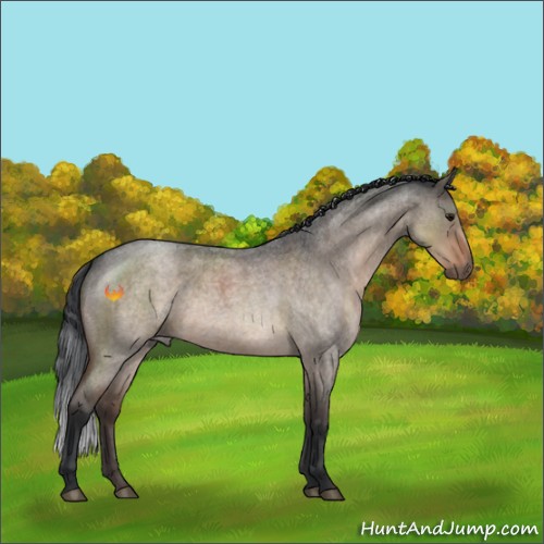 Horse Color:Brown Roan Dun 