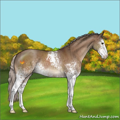 Horse Color:White Spotted Silver Bay Dun Brindle 