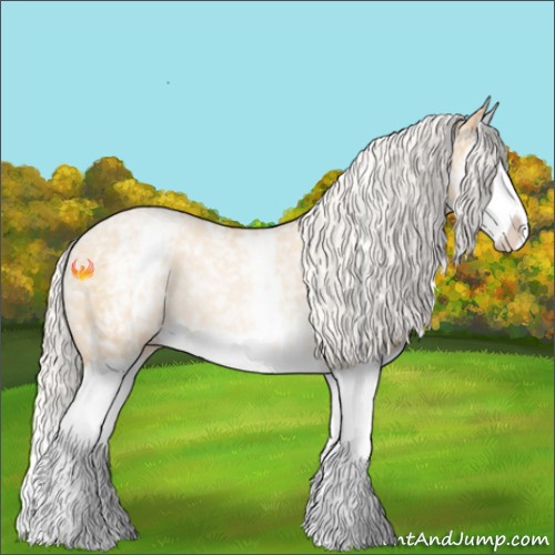 Horse Color:White Spotted Silver Smoky Blue Roan Pearl Splash Rabicano 