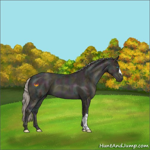 Horse Color:Midnight Chocolate Palomino Ice Pearl 