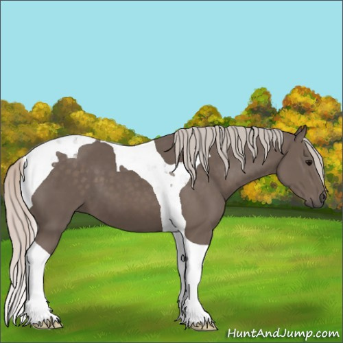 Horse Color:Silver Black Tobiano 