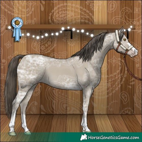 Horse Color:Classic Cream Champagne Ice 