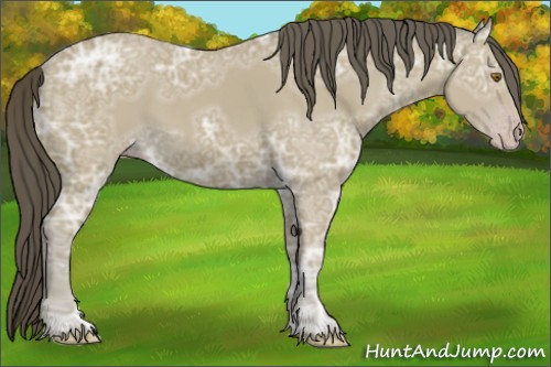 Horse Color:Classic Cream Champagne Ice