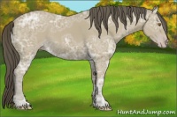 Horse Color:Classic Cream Champagne Ice 