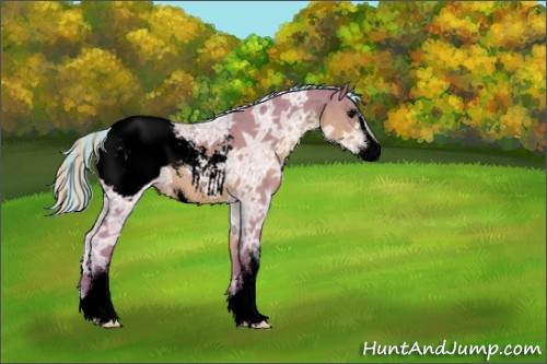 Horse Color:Void Painted Watercolor Silver Black Ice Sabino Appaloosa 