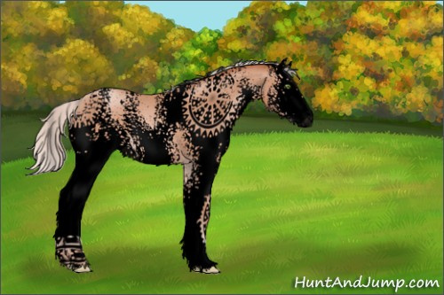 Horse Color:Void White Spotted Silver Sable Champagne Sabino 