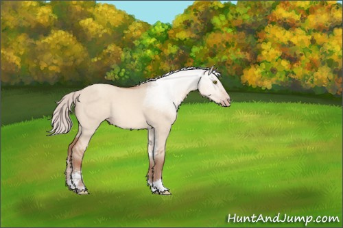 Horse Color:Silver Sable Champagne Roan Dun Sabino 