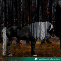 Horse Color:Void Painted Midnight Silver Brown Ice Onyx Sabino Splash 