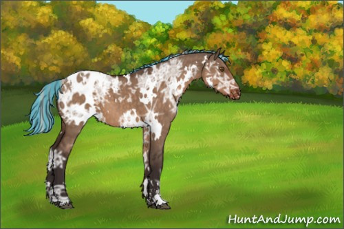 Horse Color:Painted White Spotted Silver Brown Ice Dun Sabino Appaloosa 
