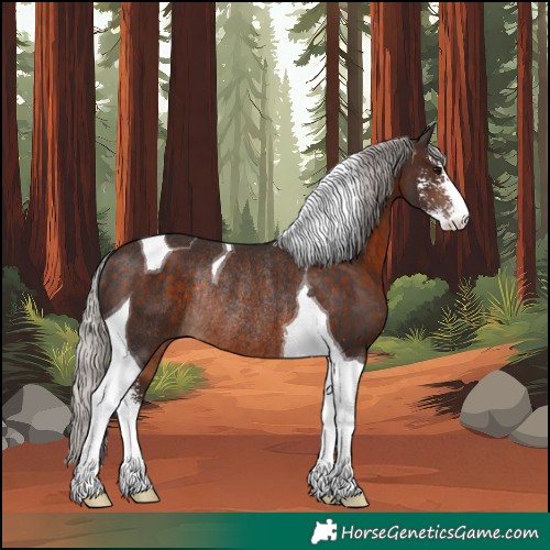 Horse Color:Silver Brown Sabino Tobiano Rabicano 