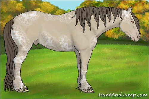 Horse Color:Classic Cream Champagne Ice