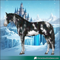 Horse Color:White Spotted Midnight Brown Ice Frame 