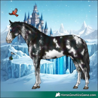 Horse Color:White Spotted Midnight Brown Ice Frame 