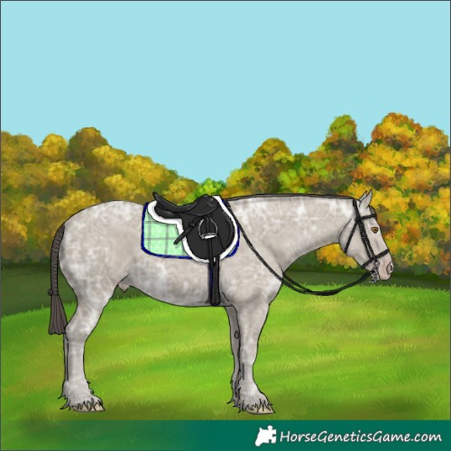 Horse Color:Classic Cream Champagne Ice 