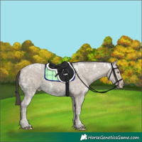 Horse Color:Classic Cream Champagne Ice