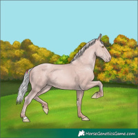 Horse Color:Platinum Chocolate Silver Sable Champagne 