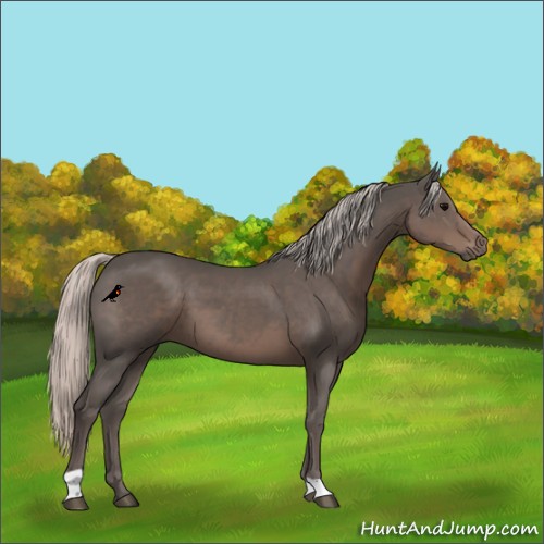 Horse Color:Silver Black 