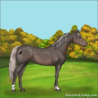 Horse Color:Silver Black 