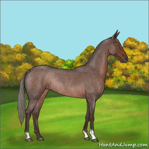 Horse Color:Liver Red Roan Mushroom Rabicano