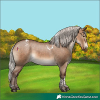 Horse Color:Silver Bay Dun Tobiano Appaloosa Rabicano 